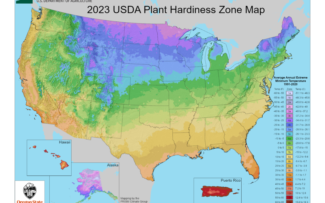 What Growing Zone am I in? Ohio Plant Hardiness Zone Maps – Updated with the New 2023 Maps